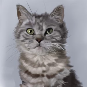 Silver tabby American Shorthair cat with green eyes, cat portrait print.