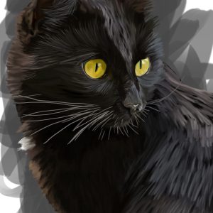 Black Bombay cat with yellow eyes, cat portrait print.