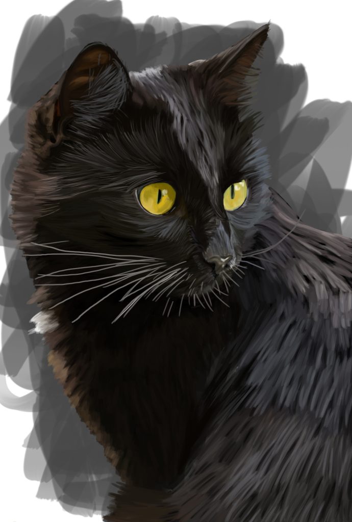 Black Bombay cat with yellow eyes, cat portrait print.