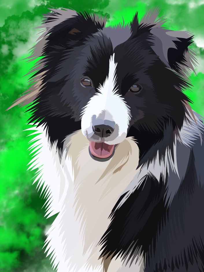 Black and white Border Collie dog portrait on a green background.