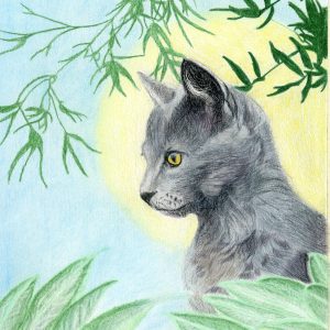 Gray cat in profile with golden eyes before a yellow moon, framed by green leaves, colored pencil art print by Shiloh.