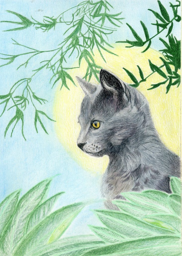 Gray cat in profile with golden eyes before a yellow moon, framed by green leaves, colored pencil art print by Shiloh.