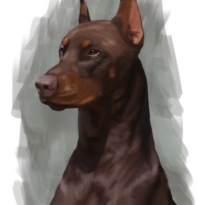 Red Doberman Pinscher with cropped ears, dog portrait print.