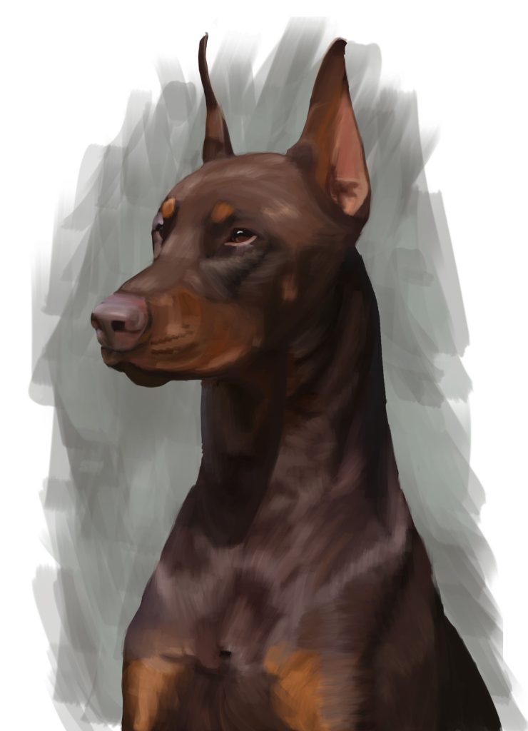 Red Doberman Pinscher with cropped ears, dog portrait print.