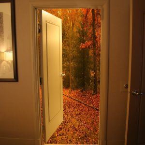 An open bedroom door leading onto an autumn forest path covered in leaves.