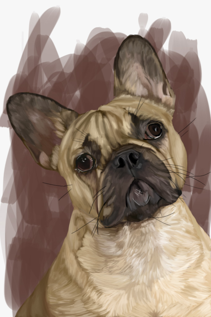 Fawn French Bulldog with head tilted, dog portrait print.
