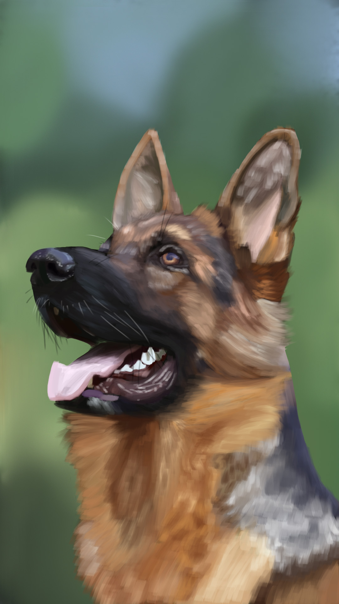 German Shepherd dog looking up with its mouth open, dog portrait print.