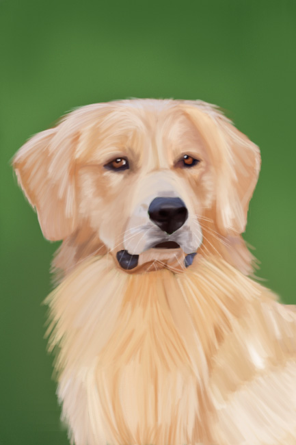 Pet Memorial Portrait From Your Photo: A Gentle Way to Remember Them