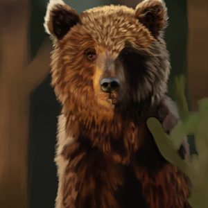 Brown grizzly bear standing in a forest.