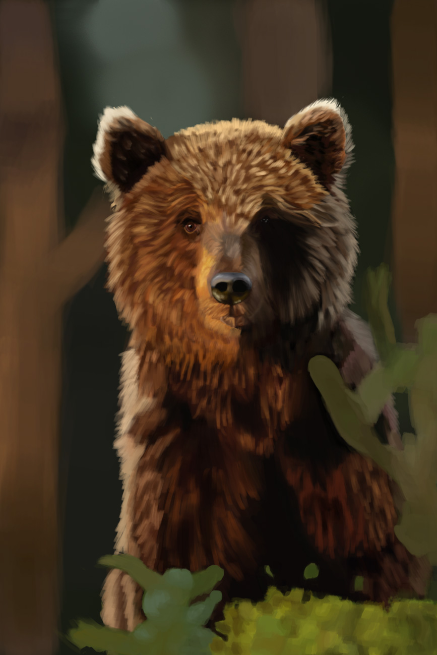 Brown grizzly bear standing in a forest.
