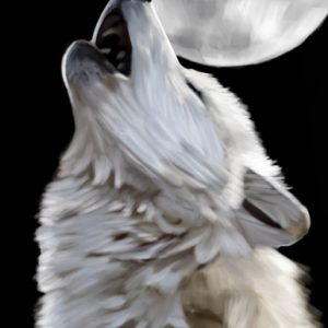 White wolf howling at a full moon.