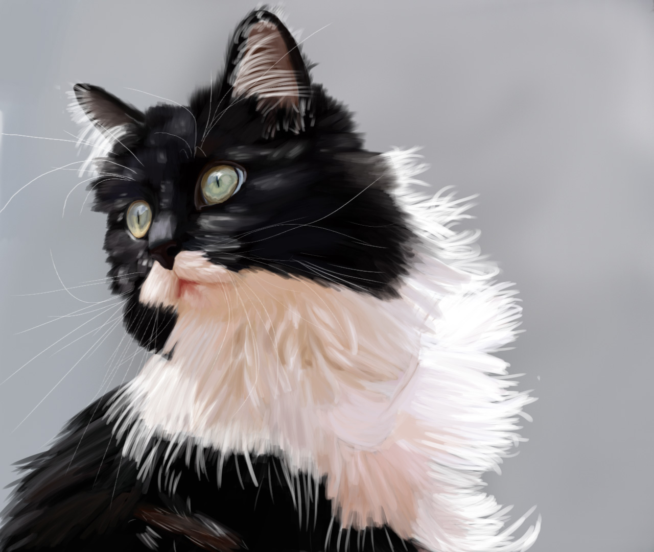 Long-haired black and white tuxedo cat with green eyes, cat portrait print.