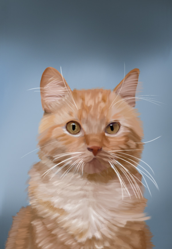 Orange tabby cat with amber eyes, cat portrait print.