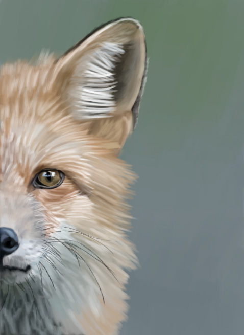 Bird and Wildlife Art Ideas for Every Room
