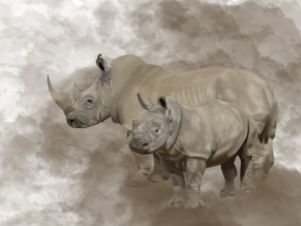 Mother rhinoceros and calf in a cloud of dust.