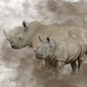 Mother rhinoceros and calf in a cloud of dust.