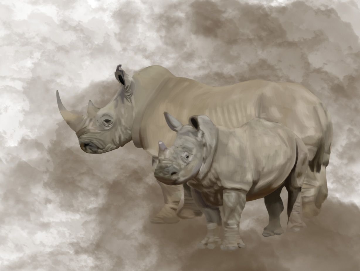 Mother rhinoceros and calf in a cloud of dust.