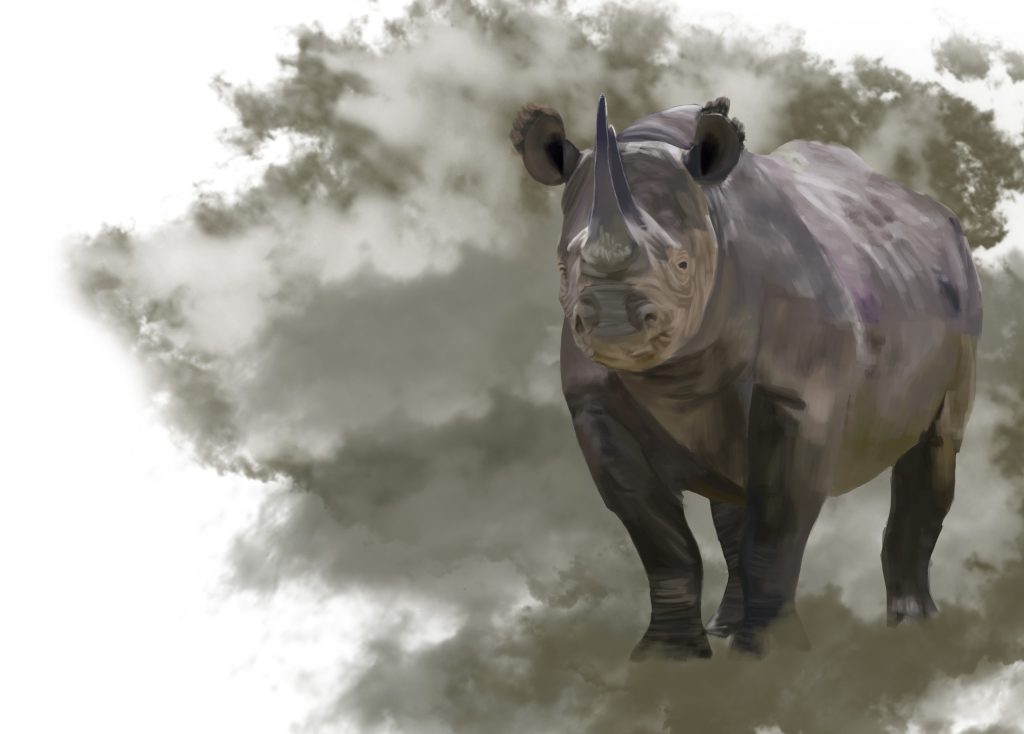 Rhinoceros standing head-on in a cloud of dust.