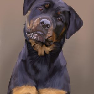 Rottweiler puppy with head tilted, dog portrait print.