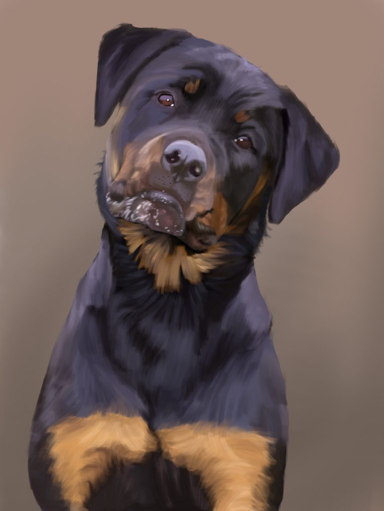 Rottweiler puppy with head tilted, dog portrait print.