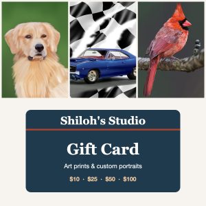 Shiloh's Studio gift card for art prints and custom portraits