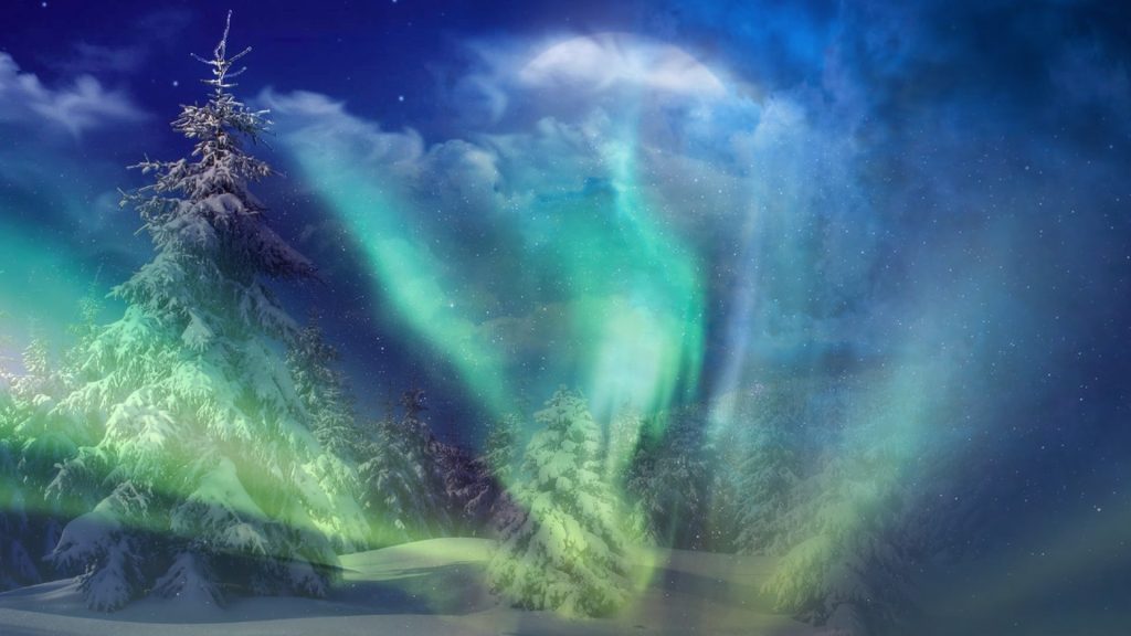 Northern lights glowing over a snowy evergreen forest.