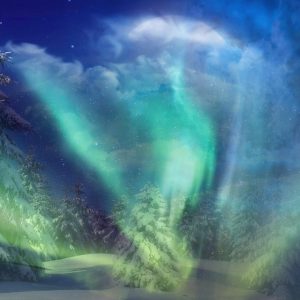 Northern lights glowing over a snowy evergreen forest.